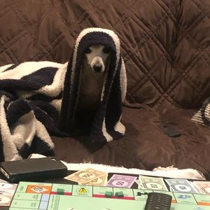 Meet your Posher, Frank